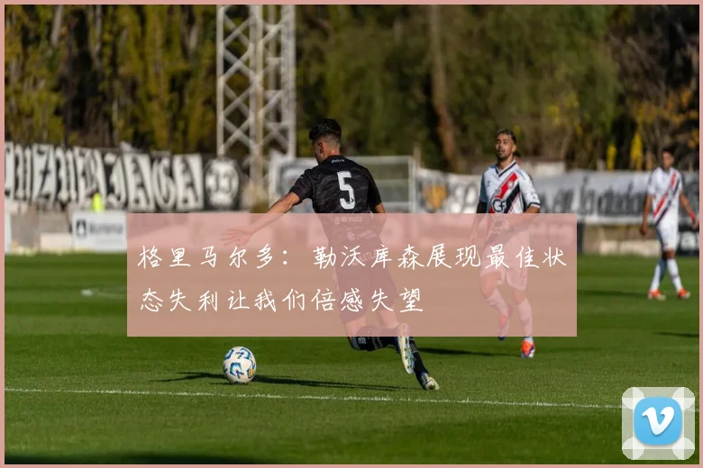 格里马尔多：勒沃库森展现最佳状态失利让我们倍感失望