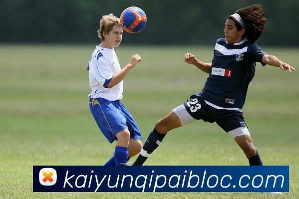 开云棋牌官网平台生态图